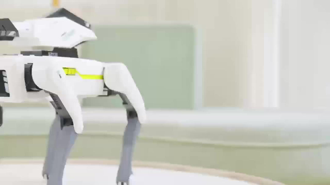 Artificial Intelligent Robot