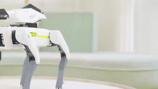 Artificial Intelligent Robot