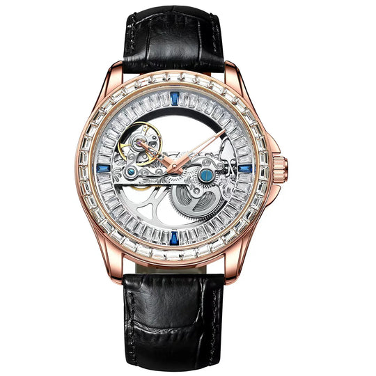 Luxury Men's Mecahnical Waterproof Wrist Watch